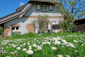 Ferienhaus unterm Reetdach, Sellin